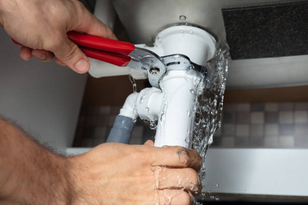 Best Flood damage cleanup  in Seis Lagos, TX