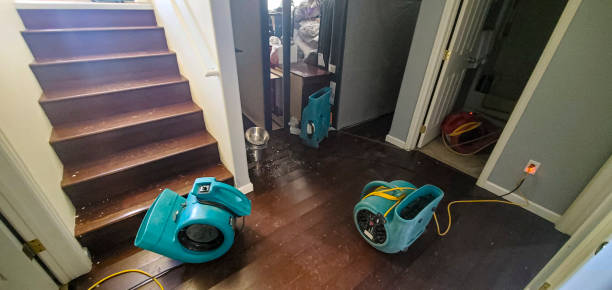  Seis Lagos, TX Water damage restoration Pros