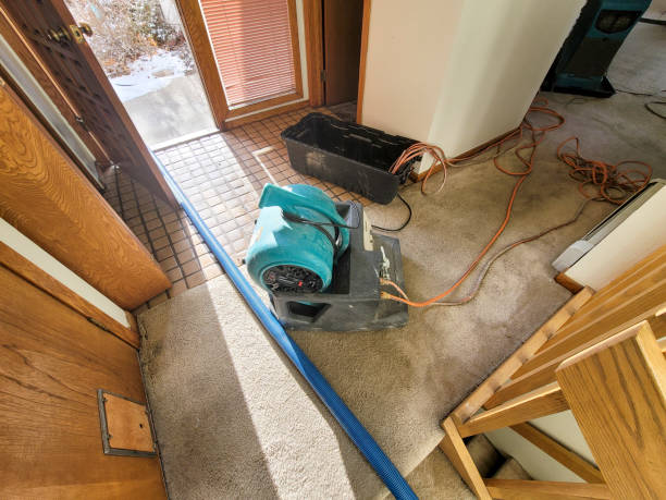 Trusted Seis Lagos, TX Water damage restoration Experts