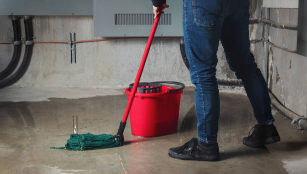 Local water damage restoration in Seis Lagos, TX