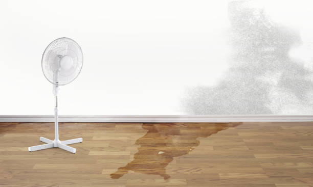 Best 24-hour water damage restoration  in Seis Lagos, TX
